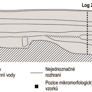 schematické zobrazenie ženských pŕs s vyznačenými mliekovodmi