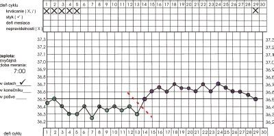graf bazálnej teploty počas menštruačného cyklu a tehotenstva