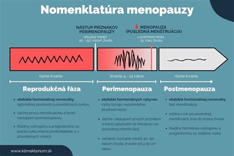 Grafické znázornenie ženského reprodukčného systému