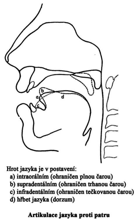 Schéma správneho postavenia jazyka a pier pri výslovnosti R