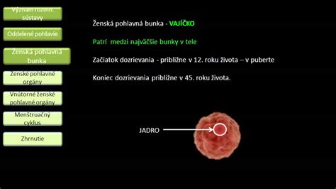 Ženské reprodukčné orgány