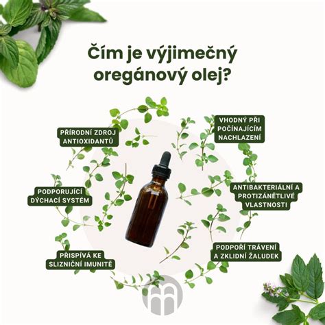 Zloženie prírodných antiparazitík: cesnak, oreganový olej, tekvicové semienka