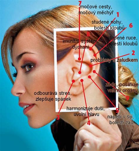 Anatomické usporiadanie ucha dieťaťa