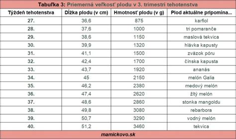 graf vývoja plodu počas tehotenstva
