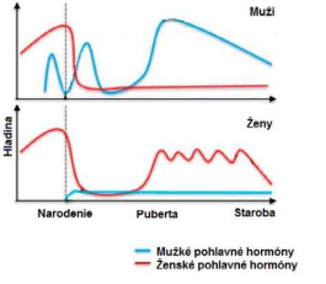 graf hormonálnych zmien počas cyklu hárania