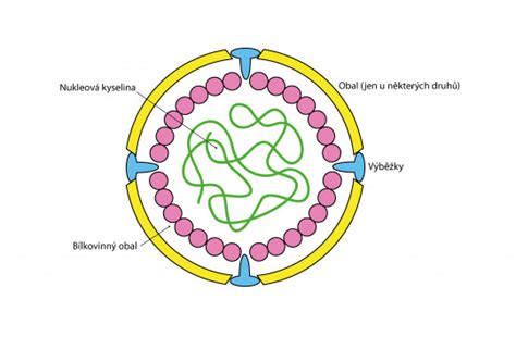 Mikroskopický snímok vírusov