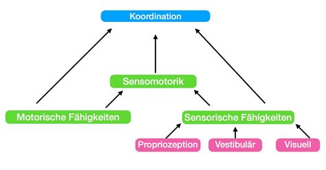 Schéma senzomotorickej integrácie