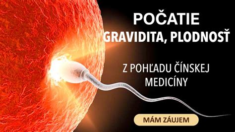 Falošná gravidita mačky