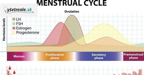 Infografika o ženskom menštruačnom cykle a plodných dňoch