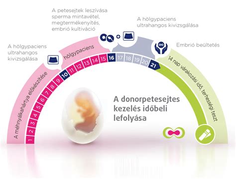 Infografika porovnávajúca cenu IVF cyklu s úhradou poisťovne a bez nej.