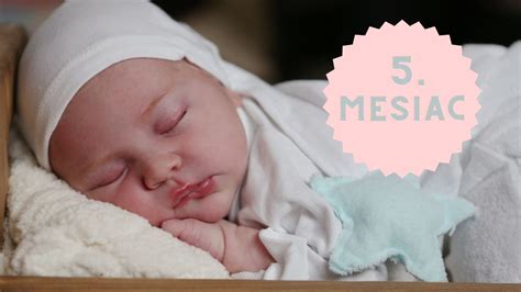 Vývoj dieťaťa v 5. mesiaci