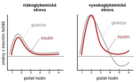grafické znázornenie hormonálnej hladiny počas dojčenia