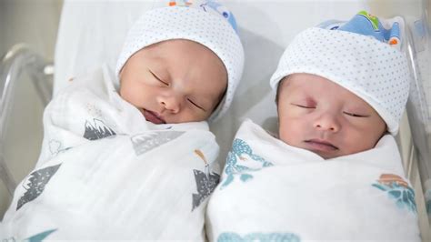 Dvojičky v inkubátore