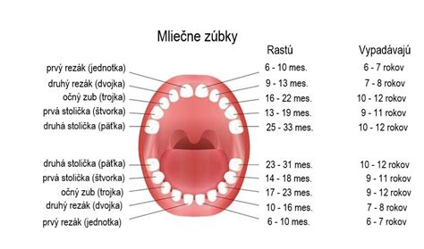 Schéma správneho rastu zubov a vplyvu cumlíka