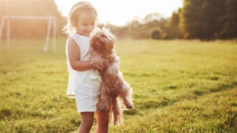 Ilustrácia dieťaťa a psa