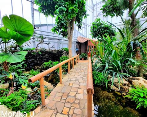 Botanická záhrada Košice