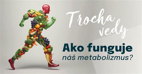 Grafické znázornenie ako funguje metabolizmus pri prerušovanom pôste