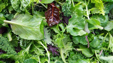 rôzne druhy listovej zeleniny