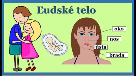 Ilustrácia ľudského hrtana s hlasivkami