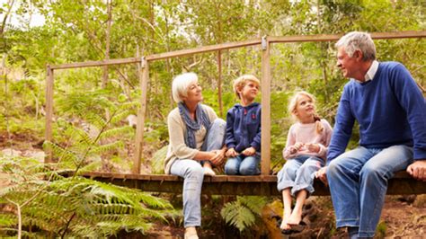 Tabuľka s prehľadom veterinárnych diét