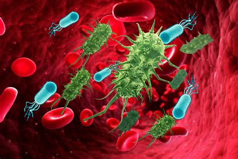 baktérie v močovom trakte