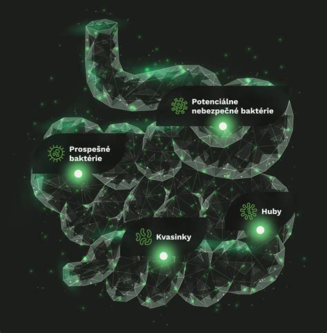 Ilustrácia vírusových a bakteriálnych buniek