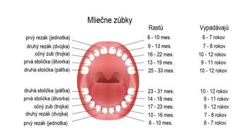 Ilustrácia prerezávania zúbkov u bábätka