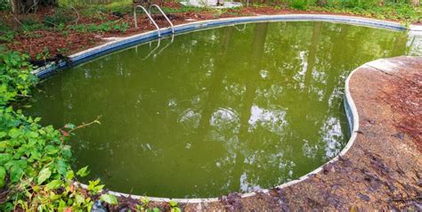 Zelená plodová voda a mekónium