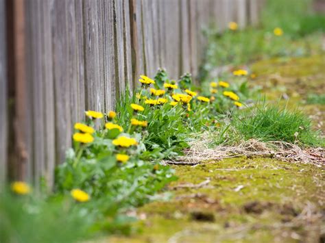 Ilustrácia vecí, ktoré nepatria do umývadla