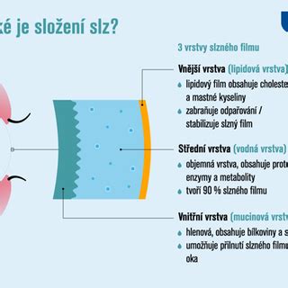 Schéma slzného filmu a jeho vrstiev