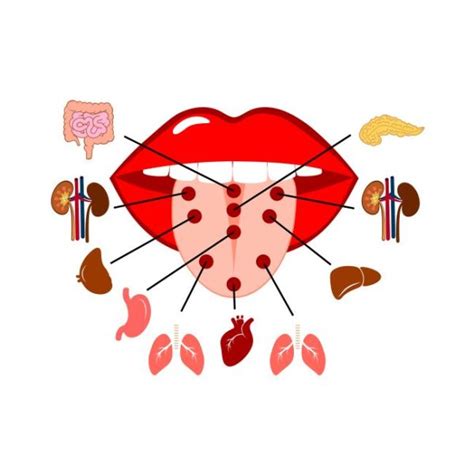 Mapa jazyka s prepojením na orgány