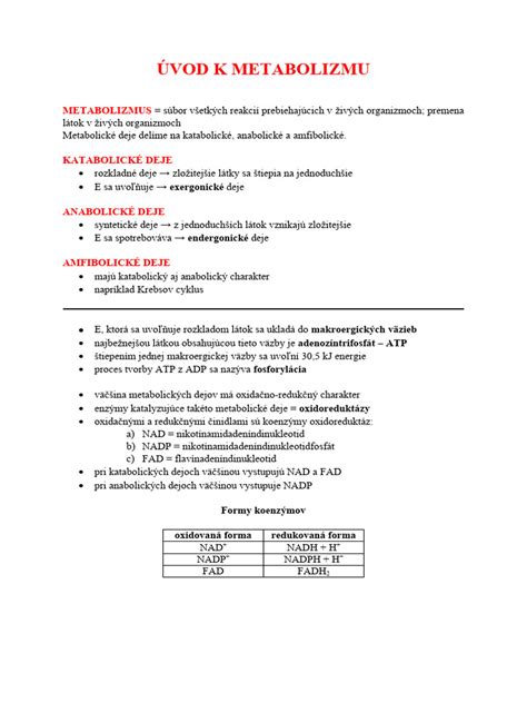 Ilustrácia ľudského metabolizmu