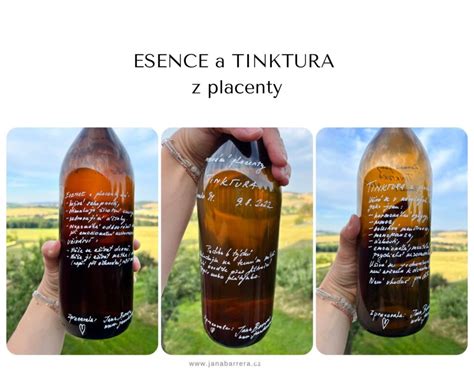 Štruktúra placenty