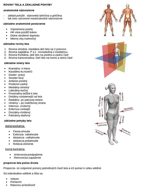Anatomické štruktúry ženského reprodukčného systému