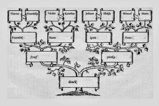 Rodokmeň rodiny Potterovcov a Malfoyovcov
