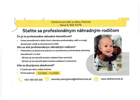Schematické znázornenie štruktúry profesionálnej náhradnej rodiny