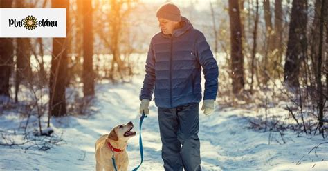 Bezpečnostné pravidlá pri interakcii so psom