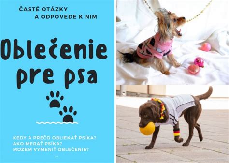 Zodpovedný majiteľ psa