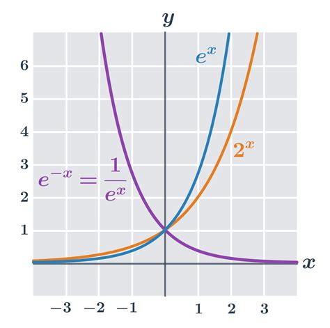 Graf zobrazujúci funkcie fosforu v ľudskom tele