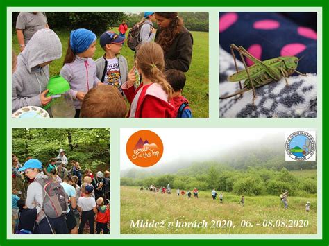 Koláž obrázkov šťastných detí, ktoré správne rozprávajú