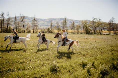 Jazda na koči v zasneženej krajine